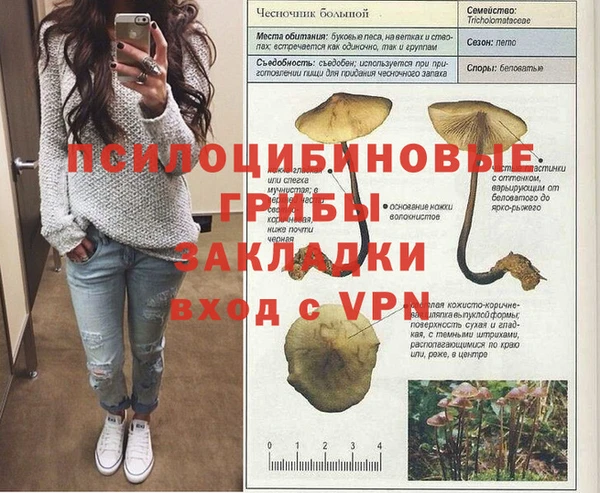 мяу мяу мука Киреевск