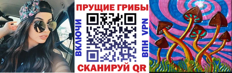 Купить где  Невель  Псилоцибиновые грибы прущие грибы 
